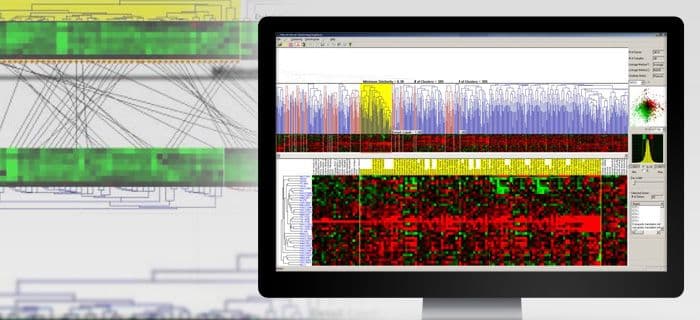 Hierarchical Clustering Explorer